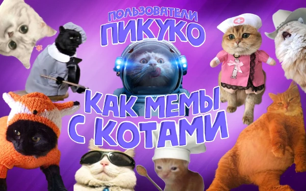 Запускаем милую эстафету вместе с Клубничкой, ведь коты это всё, коты это круто, мило, это наша жизнь. И если вам, как и нам, также не безразличны котики, можете присоединяться к нашей эстафетке 😸