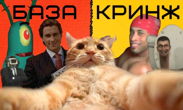 Продолжаем сортировать мемы по папкам. Какие из них можно назвать лютой базой, а какие кроме как кринжом, ну уж никак не назовёшь. Вновь соберём статистику и взглянем на мнение пользователей Pikuco. 