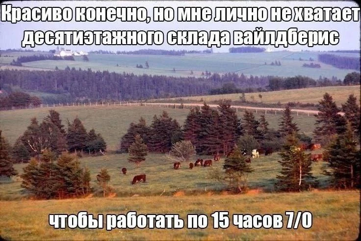 Перенос крайнего срока подачи работ на конкурс мемов | Мемы Перенос крайнего срока подачи работ на конкурс мемов | Мемы
