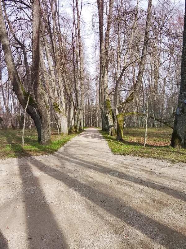 Также она. Также она.