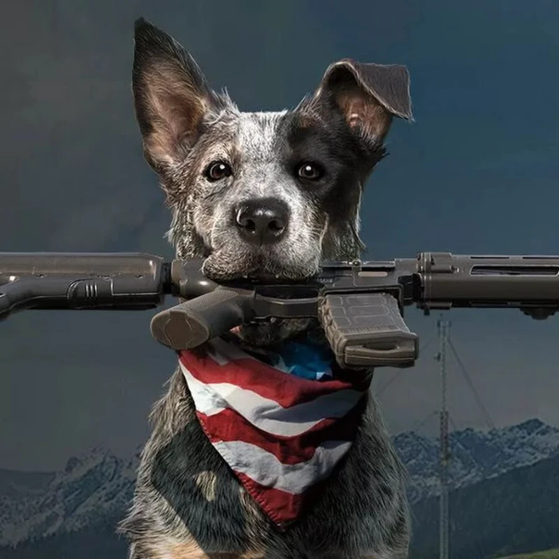 Опрос по Far Cry 5 Опрос по Far Cry 5