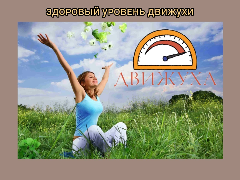 Теория Движухи Теория Движухи