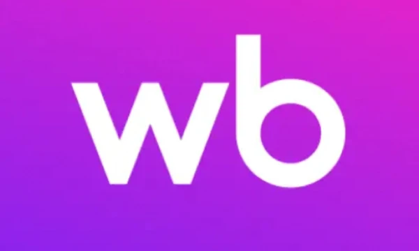 Сегодня вам предлагается выбирать между такими интернет-титанами как ozon, wildberries и всякими нн 