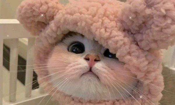 Не знаю кто и когда делал такой тест, но идея точно не моя, надеюсь вам понравится, удачи в прохождении!