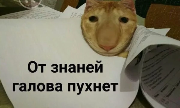 Я предоставляю вам небольшое количество мало известных слов и несколько вариантов ответов. Сможете вы отгадать все. Пройди этот тест и узнаешь правду. Приятного прохождения! Удачи! 