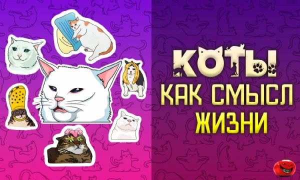 Удивительно, но ты только что наткнулся на эту подборку мемов с невероятными котиками или она сама нашла тебя? Не важно, ведь главное то, что сейчас ты сможешь насладиться котиками в полной мере!