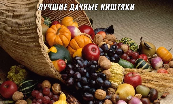 Все дачные ништяки, которые в среднем можно вырастить по стране, имеются в тесте. Осталось выбрать из них самый ништяк. Пояснения имеются.