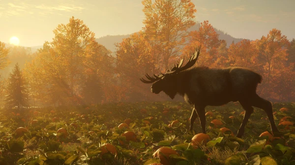 Какой заказник в играх theHunter: Classic и theHunter: Call of the Wild по вашему мнению является лучшим?
