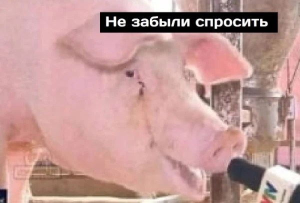 иксди
турнир по гифкам т.н. чаченского комьюнити, куча всяких нюков, шуток про UA и прочего контента.