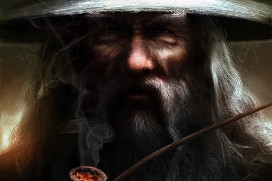 Речь идёт о именно книжном оригинале, а не о фильме. Разница между произведениями, разумеется, до некоторой степени есть. Где-то небольшая, а где-то и существенная