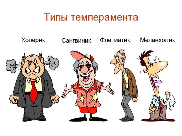 Пройди тест и узнай - какой из основных четырех типов темперамента подходит больше всего именно тебе! Первые пять вопросов будут ситуационные, последние же семь являются логическими.
