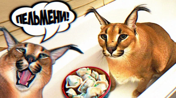 Вы супер сыщик, также известный как шерлок шлëпс. Вас вызывает главный Шлëпа, ведь у него пропал пельмень и именно ВЫ должны его найти. Удачи! 