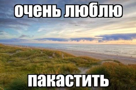 Выбери лучшего персонажа ентп