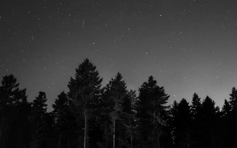 Печальная усталость. Печальная усталость.