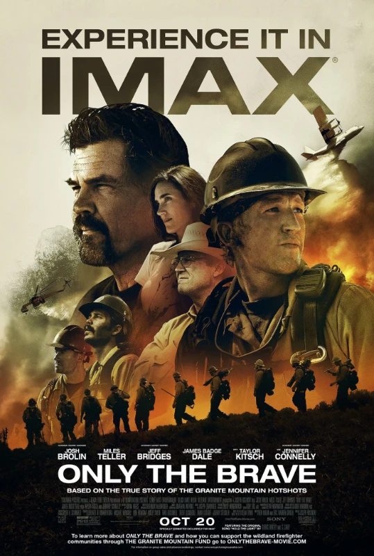 Дело храбрых (2017) Дело храбрых (2017)