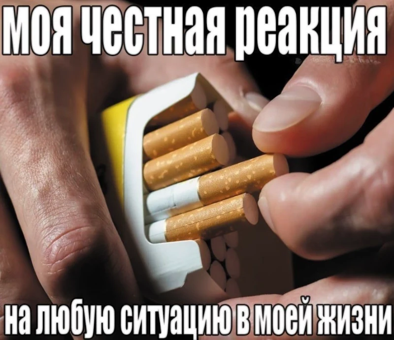Экзистенциальные картиночки как смысл жизни. Экзистенциальные картиночки как смысл жизни.