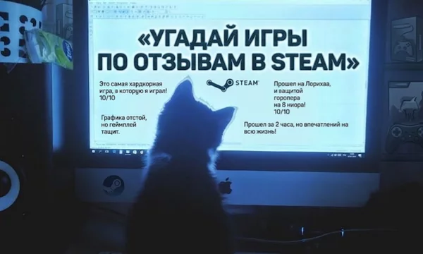 Ниша стимовских отзывов пополняется каждый день. И большинство из них — треш и угар. Кто-то ненавидит разработчиков, кто-то хвалит игру с 5000 часов, кто-то пишет простыни текста с матом. 