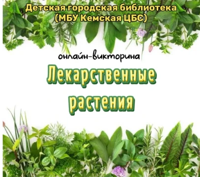 Проверьте, что вы знаете о природной аптечке.