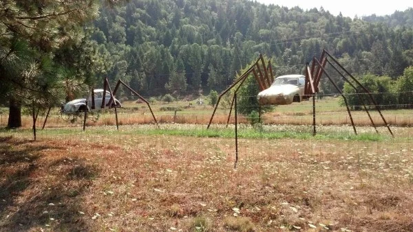 СЕЙЧАС МЫ ПРОВЕРИМ НАСКОЛЬКО ТЫ ЗНАЕШЬ SCP объектов! 