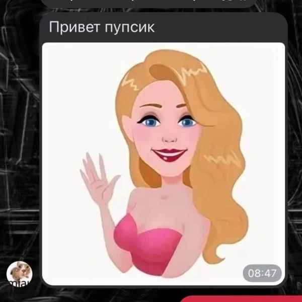 Привет пупсик мем