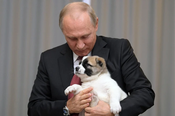 Какие презенты понравились президенту России больше всего?