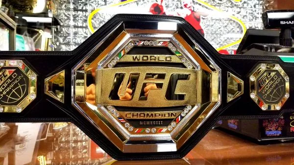 Выбери лучший главный бой UFC 2020 (включая все титульные бои) 