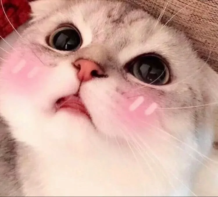 спасибо за прочтение💗💗 спасибо за прочтение💗💗