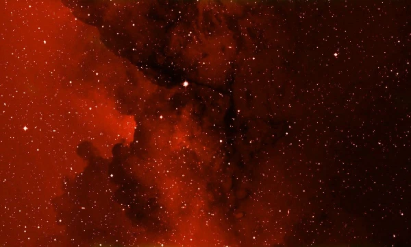 Я собрала 5 своих любимых персонажей из разных фандомов. Вы должны будете выбрать то, что вас больше всего описывает. Приятного прохождения 🌕 (все описания из инета, тк мне лень из придумывать)