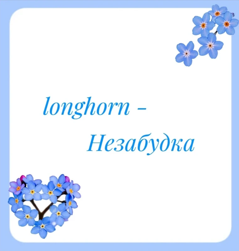 ♡︎ longhorn ♡︎ ♡︎ longhorn ♡︎