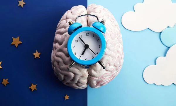 Этот тест может дать общее представление о вашем хронотипе и рекомендации по его соблюдению.