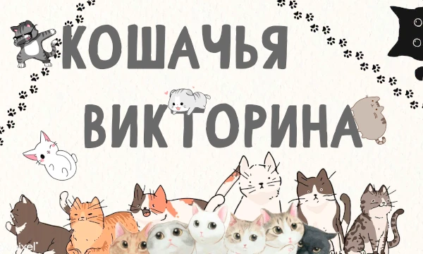 Кошечки. Какие разные и такие одинаковые одновременно. Любителей кошек очень много, чуть ли не у каждого второго имеется питомец. Но насколько ты знаешь кошачью жизнь, их повадки и прочее? Проверим?
