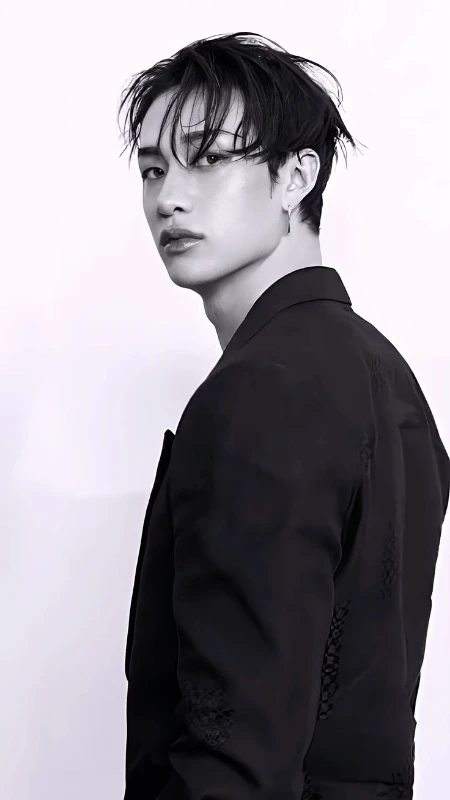 Бан Чан (Stray Kids) Бан Чан (Stray Kids)
