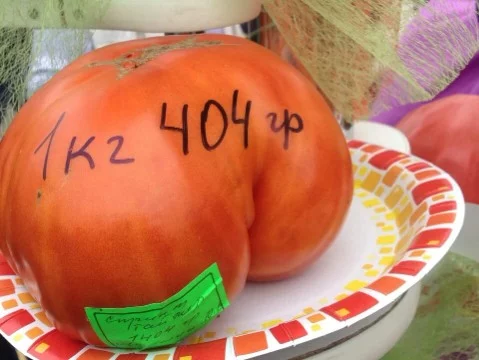 Помидоры уневерсальная вещь! Можно жонглировать, кидать в людей и сделать с его помощью салатик. Что может быть лучше?