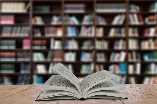 Выбираем самую лучшую книгу, или серию книг. Манга и комиксы не входят в опрос.
Редактировано 11.11.22