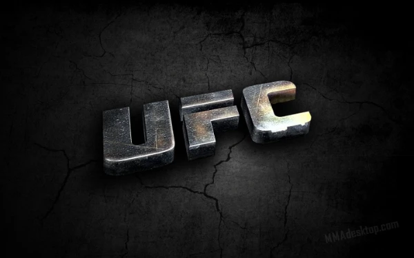 Я этом турнире я собрал сильных бойцов UFC, ну а кто из них самый сильнейший решать вам!