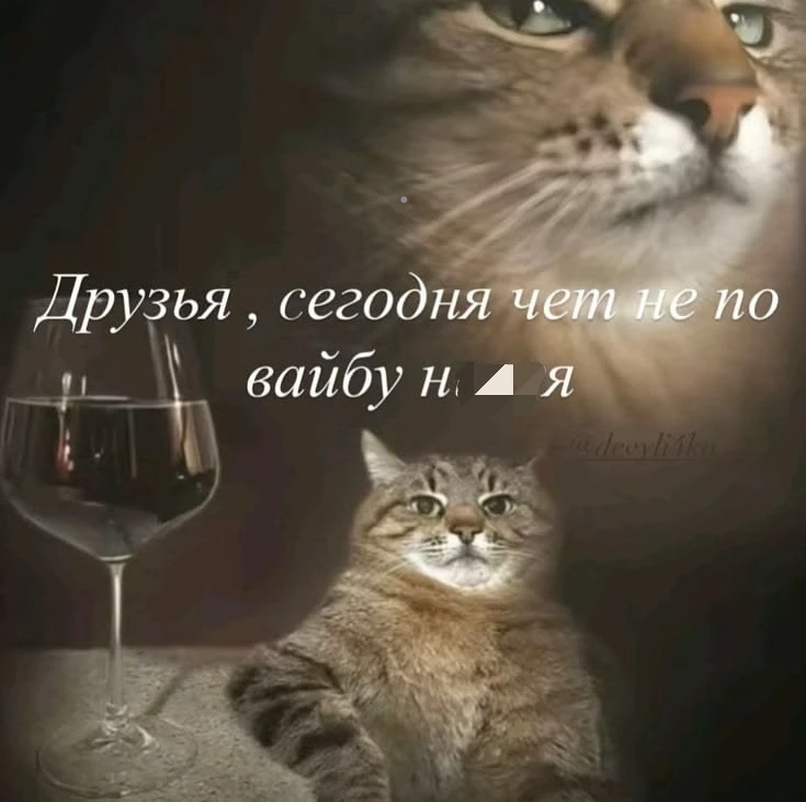 Сегодняшний вайб Сегодняшний вайб