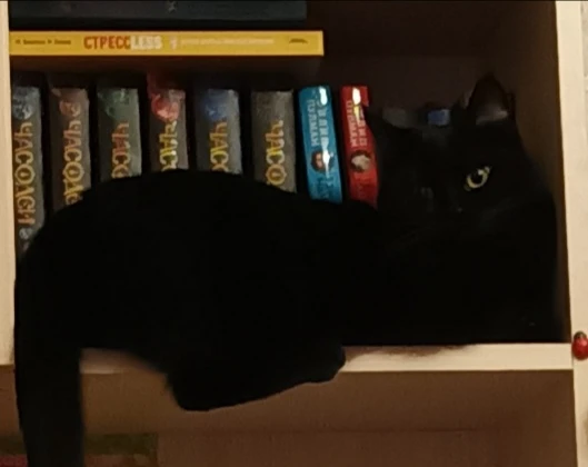 !📖! !📖!