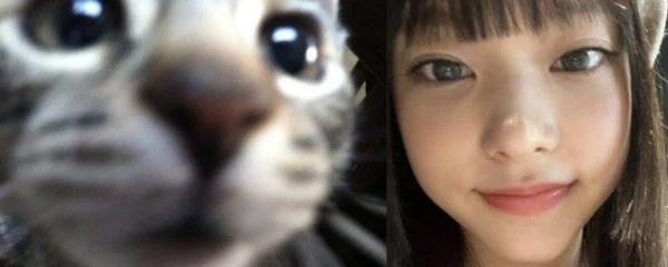 просто выберите между моим первым биасом в группе и нынешнем, идея не моя