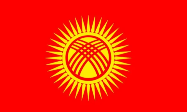 И снова тест на коленках! 