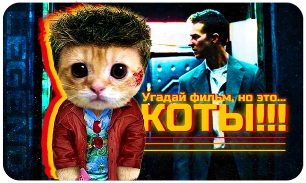 О, нет! Коты захватили культовые фильмы! Пройди тест на 100% и получи секретную концовку! Если не пройдёшь, значит ты её недостоин… а если пройдёшь - держи в секрете. Она же секретная. Начнём игру!