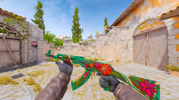 Choise your favourite skin in cs2