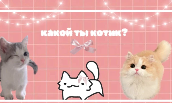 Приветик! Предлагаю тебе пройти этот тестик и узнать какой ты котик! Я попыталась сделать миленький тест. Приятного прохожденияヾ(•ω•`)o