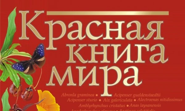 В красную книгу мира входит множество разных животных и растений. Кто-то из них находится на грани исчезновения, а кто-то только попал в список вымерающих животных.