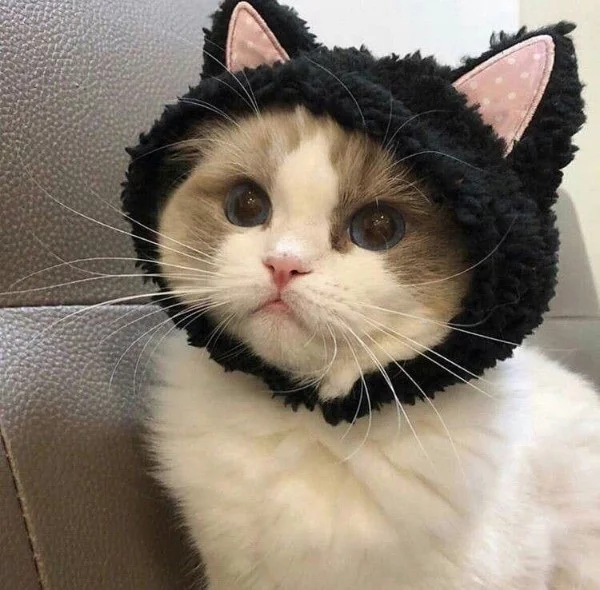 — Счастливых вам Голодных игр.
— И пусть удача всегда будет с вами.