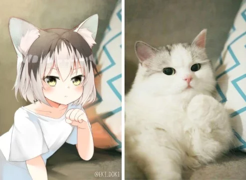 Выбери самого милого котика или самую милую хуманизацию) 