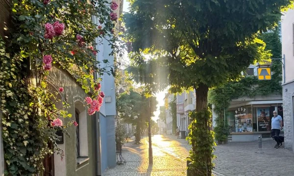 Просто было скучно и я решила создать тестик 🌸🌸 