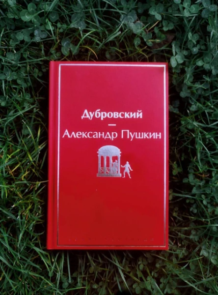 За этот год прочитал 128 произведений. Интересно, что из этого списка литературы ближе всего пользователям Pikuco