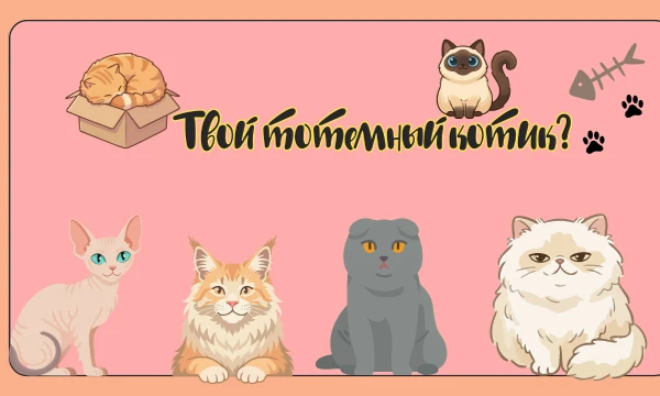 Возможно такой тест есть. Пород котиков есть много. А какой породы кот мог бы стать твоим тотемным котиком. Просто пройди тест и узнай своего тотемного котика. Удачи~