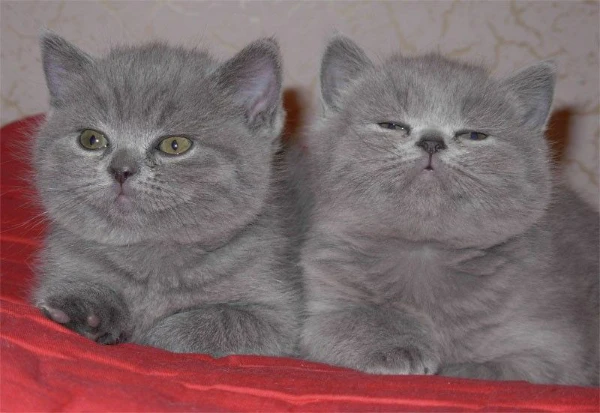 ну любимые треки за все время... наверное да