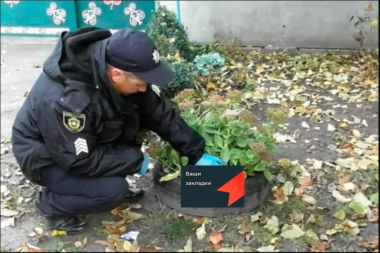 Типичная шутка Типичная шутка
